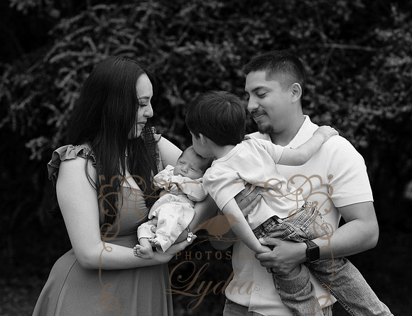 Aiden-0741b