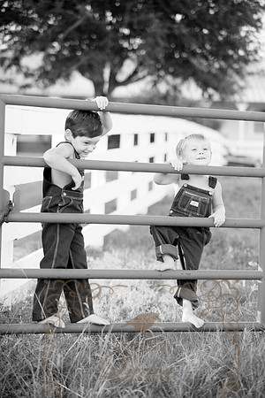 IMG_1067bw
