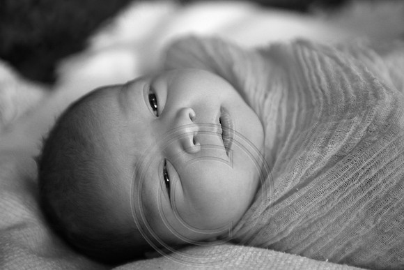 IMG_1083bw