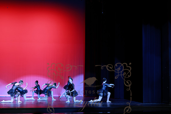Romeo & Juliet (66)