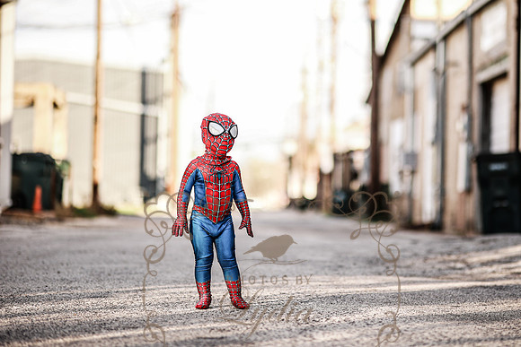 Spiderman-30