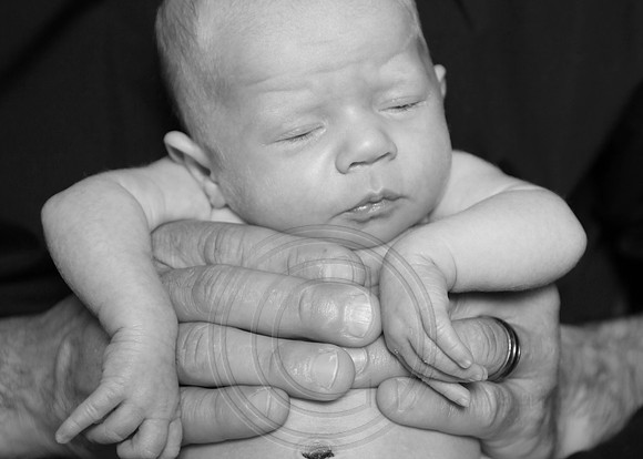 IMG_3352bw