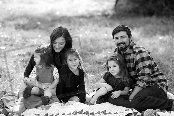 5V3B8484bw