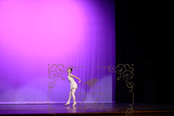 Don Quixote (24)