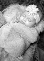 IMG_9506bw