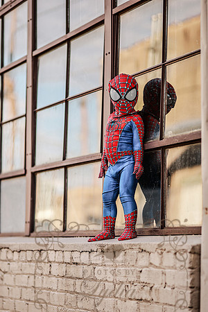 Spiderman-26
