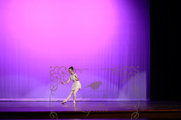 Don Quixote (25)