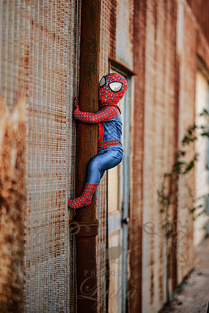 Spiderman-54