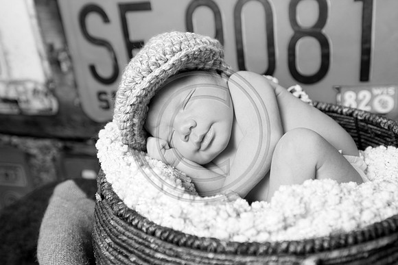 IMG_4437bw