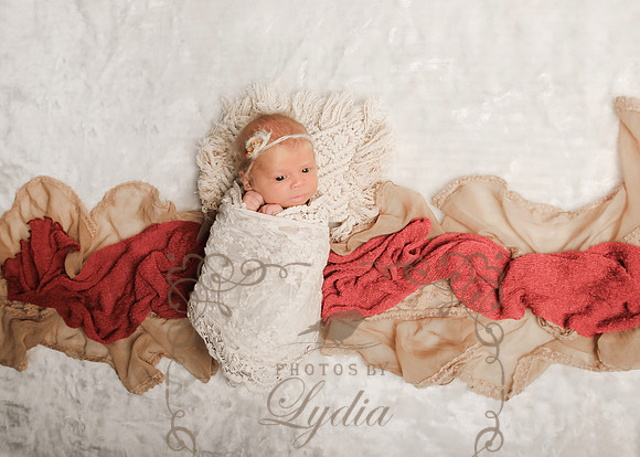 Sophia-28