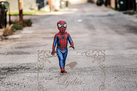 Spiderman-35