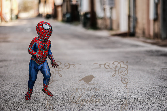 Spiderman-37