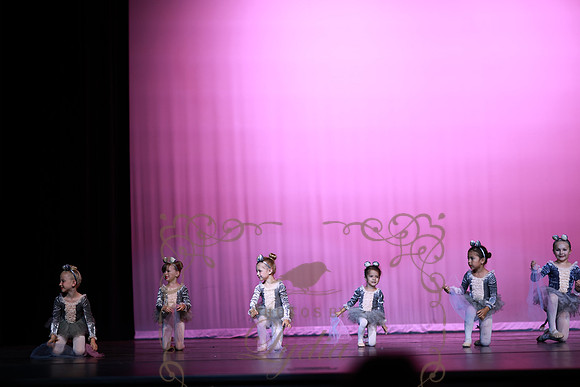 Cinderella (13)