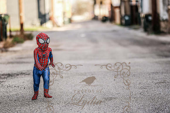 Spiderman-36
