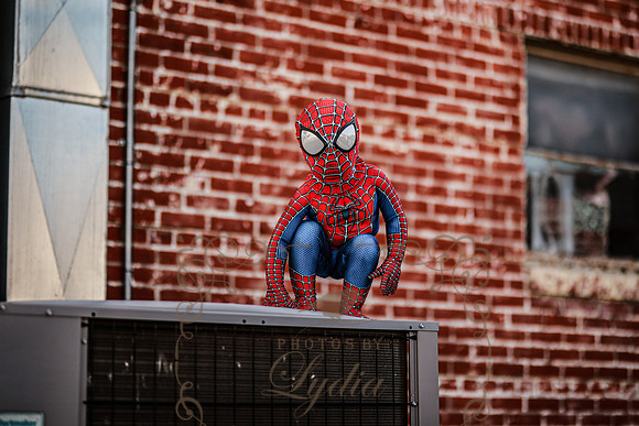 Spiderman-46