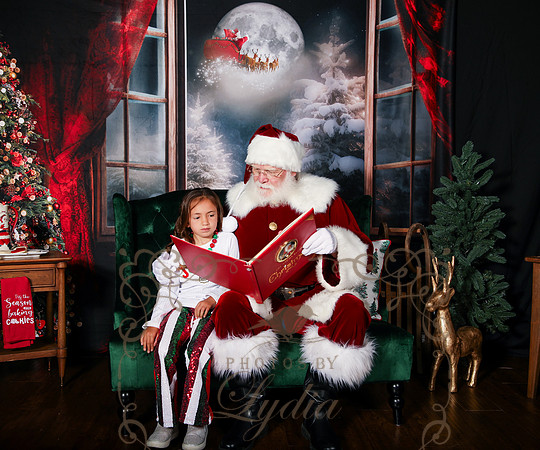 Santa-181