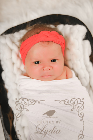 Sophia-10