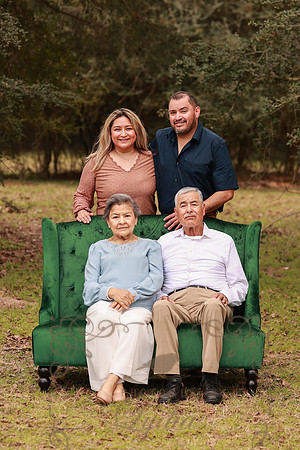 Family-88