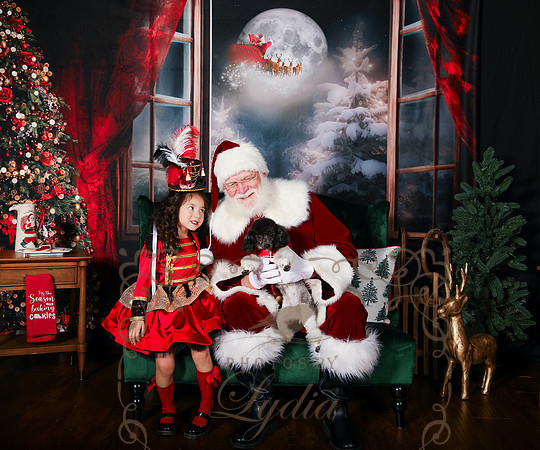Santa-201