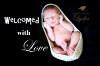 IMG_0710 copy