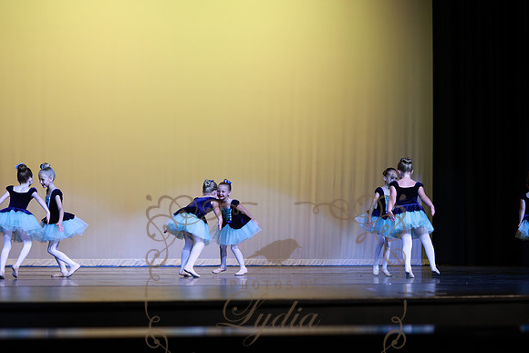 Pied Piper (27)