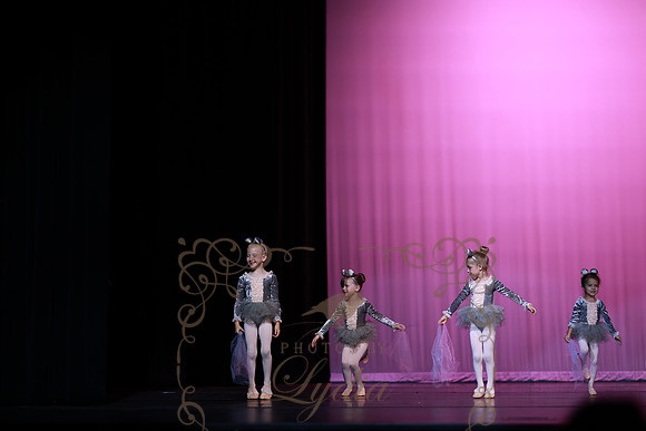 Cinderella (17)