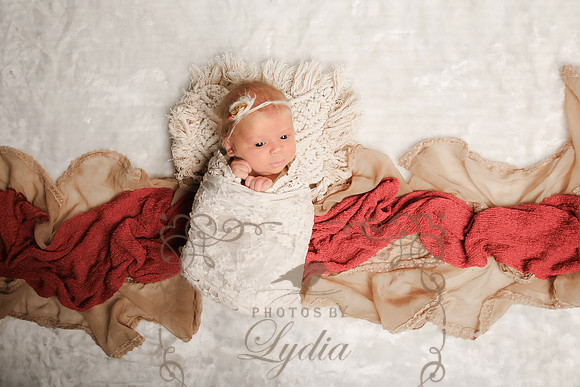 Sophia-18