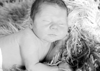 IMG_0157bw