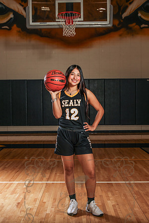 Bball-106