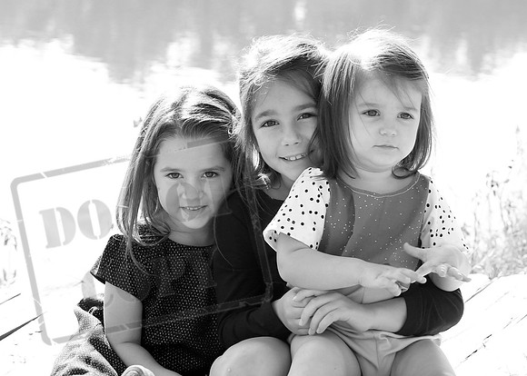 5V3B8441bw