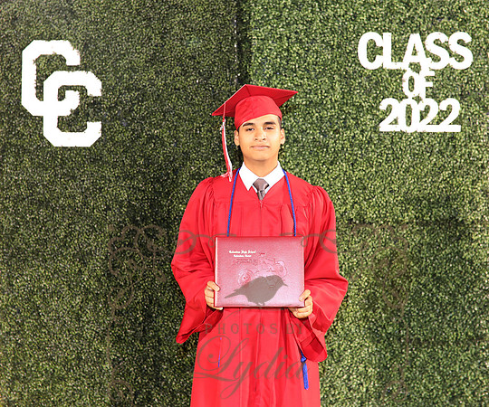 Barrientos Medrano, D