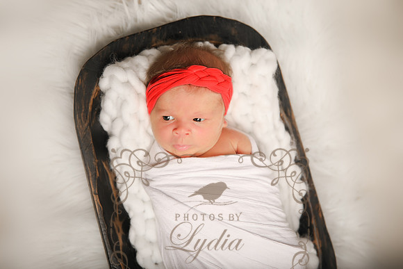 Sophia-3