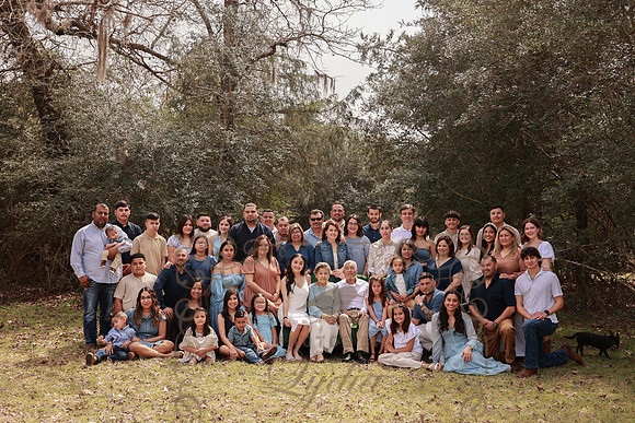 Family-12