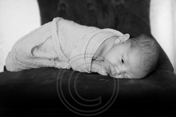 IMG_1038bw
