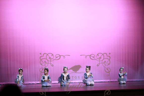 Cinderella (11)