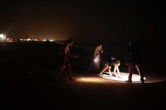 Beach-4178