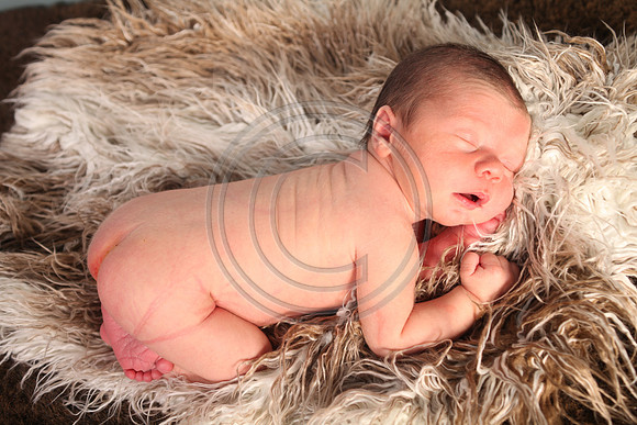 IMG_0161