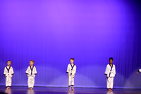 Taekwondo (7)
