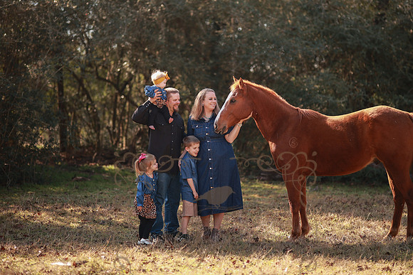 Family-133