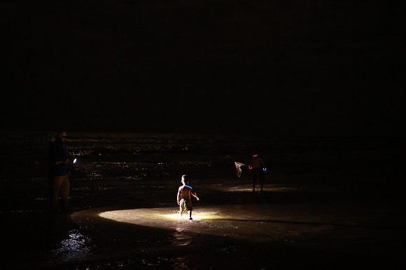 Beach-4231