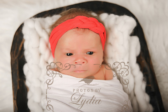 Sophia-11