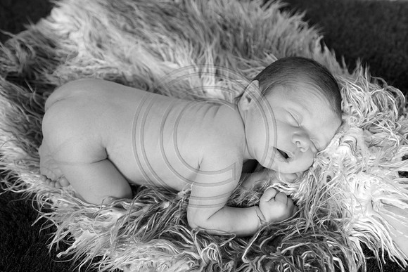 IMG_0166bw
