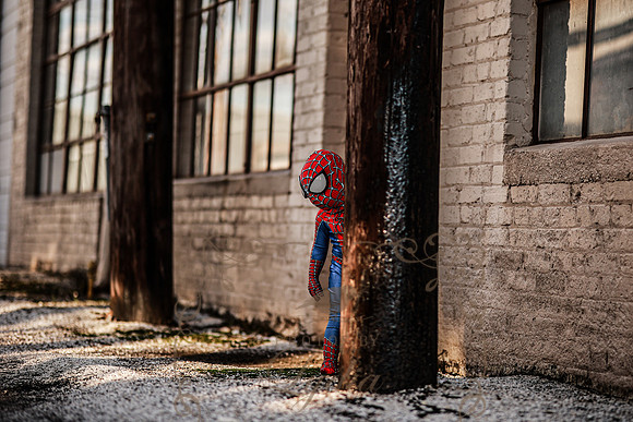 Spiderman-43
