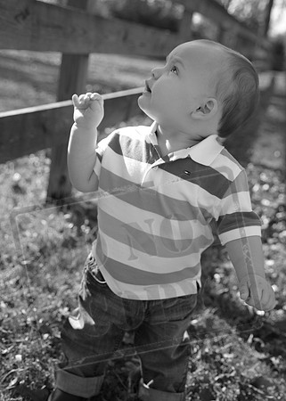 IMG_8979bw
