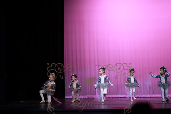 Cinderella (14)