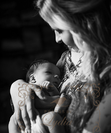 Hudson-25
