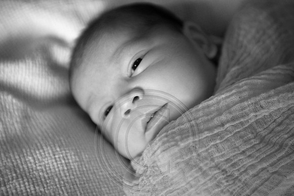 IMG_1081bw