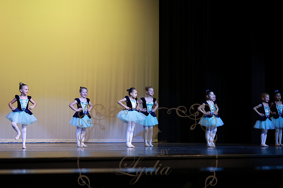 Pied Piper (17)