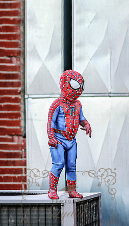 Spiderman-50b