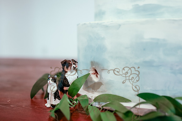 Cake & Toasts-2